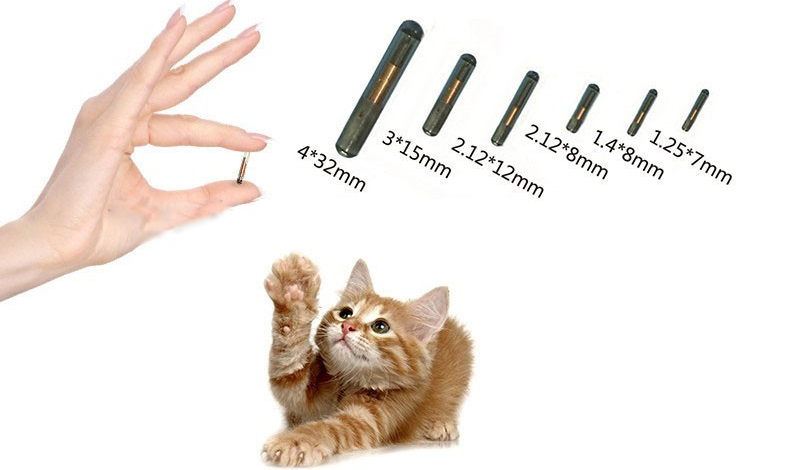 Etiquetas de chip RFID Cat Costo de microchip