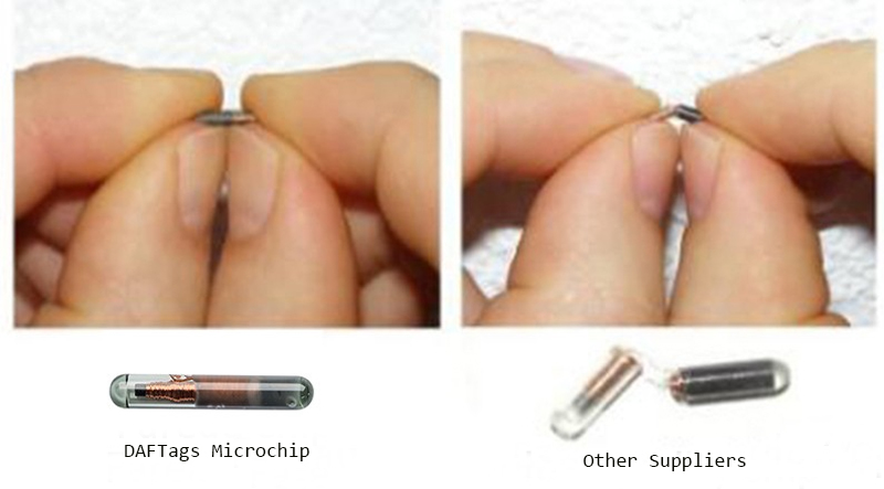 Etiquetas de microchip para cachorros RFID Fábrica de China