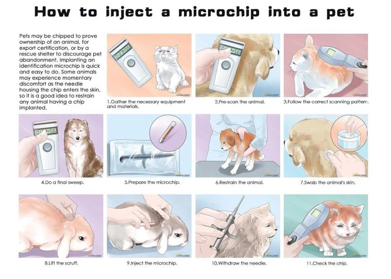 Inyecte etiquetas de microchip RFID en mascotas