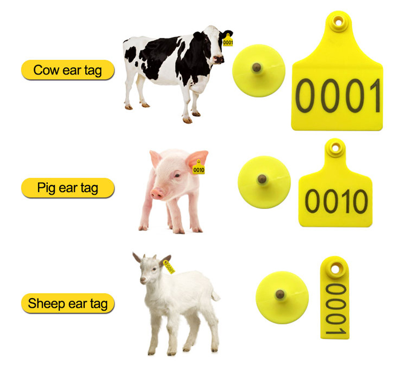 Etiqueta de oreja RFID para vaca