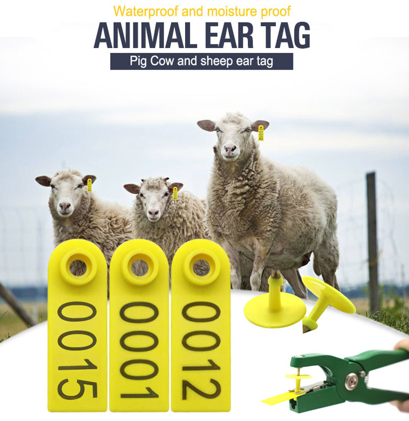 Etiquetas de oreja de oveja RFID para seguimiento