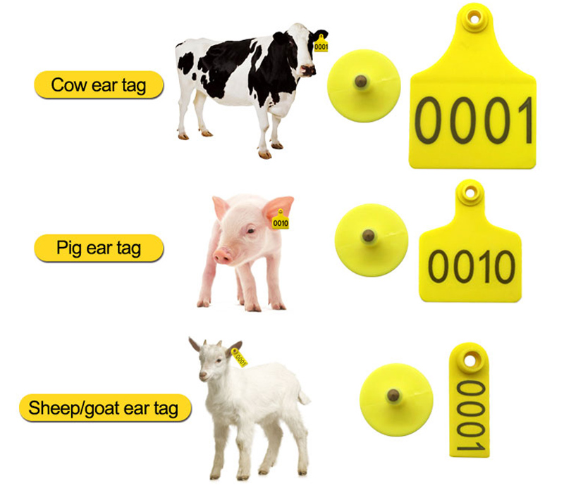 Proveedor de etiquetas de oreja RFID para ganado