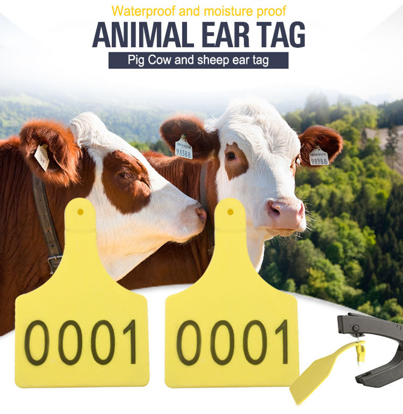 Etiquetas de oreja de vaca RFID para seguimiento