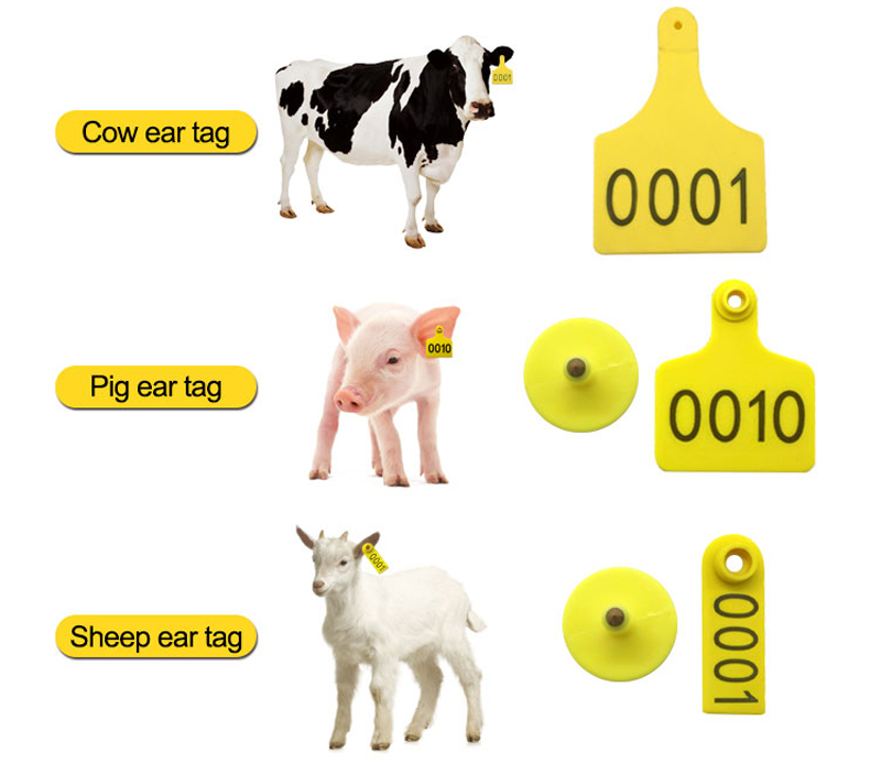 Etiquetas de oído de la vaca del RFID Fabricantes