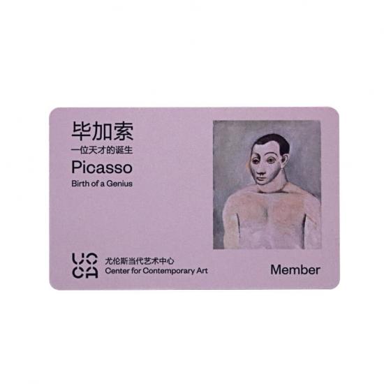 Plastic PVC RFID Visiting Ticketing Cards