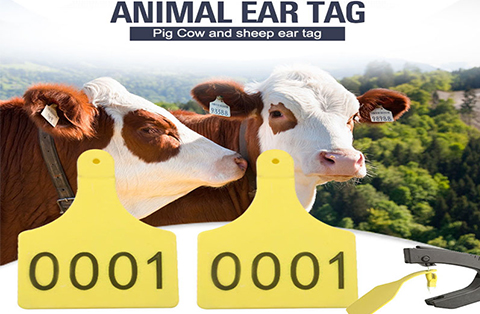 Etiquetas RFID para orejas de animales
