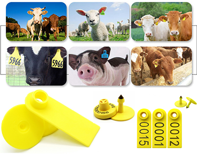 Etiquetas RFID para orejas de ganado